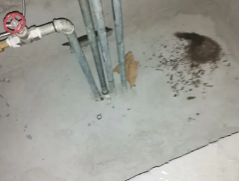 汉滨卫生间测漏水价格明细